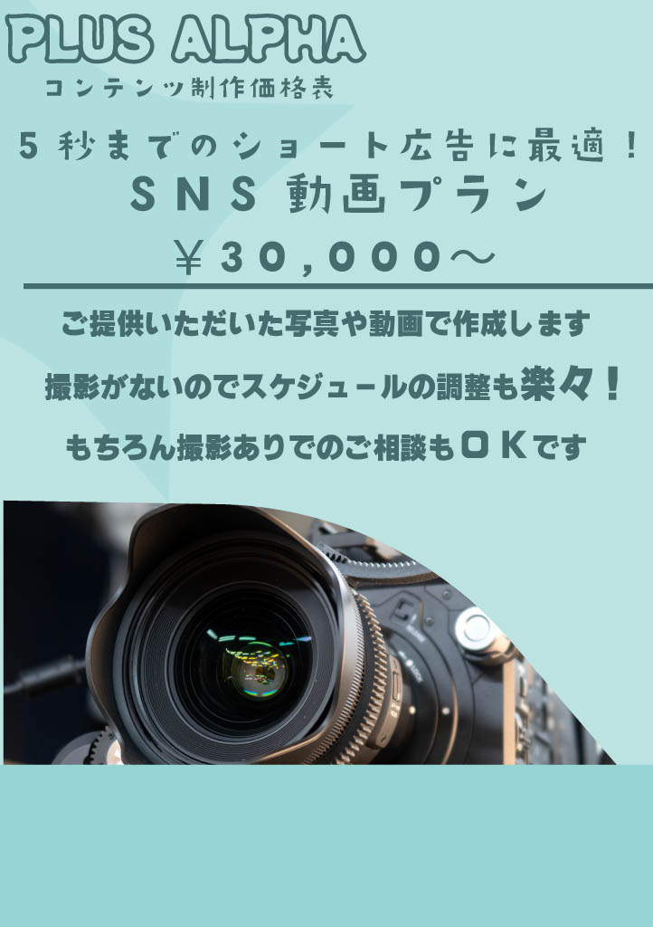 SNS動画プラン